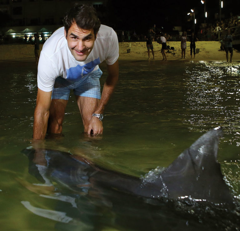 Roger Federer Aces Wild Dolphin Feeding in Brisbane