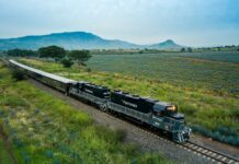 Viaje en el tren del tequila